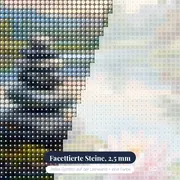 Sieben Steine am stillen Lotus – Nahaufnahme der Steine