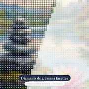 Équilibre des Pierres au Lotus – gros plan des diamants