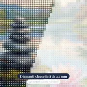 Pietre Lisce e Loto Rosa – primo piano dei diamanti