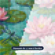 Lotus Roses sur Étang Turquoise – gros plan des diamants