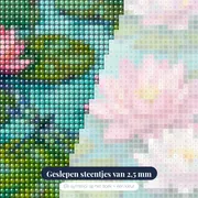 Roze Lotussen op Turquoise Water – close-up van de steentjes