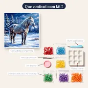 Cheval gris au pâturage enneigé – contenu du kit