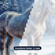 Grauschimmel auf verschneiter Winterweide – Nahaufnahme der Steine