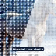 Cheval gris au pâturage enneigé – gros plan des diamants