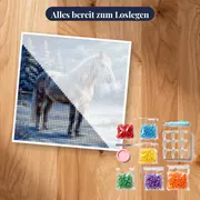 Grauschimmel auf verschneiter Winterweide – Set bereit zum Loslegen