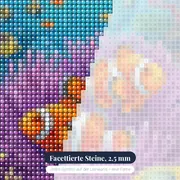 Zwei Clownfische in violetter Anemone – Nahaufnahme der Steine