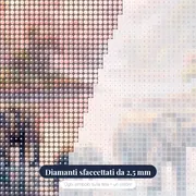 Elefanti al guado nella nebbia rosa – primo piano dei diamanti