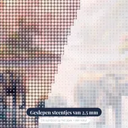 Olifantenkudde in roze ochtendmist – close-up van de steentjes