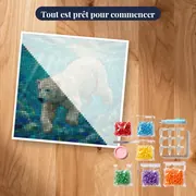 Ours polaire nageant en eaux turquoise – kit prêt à commencer