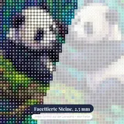 Zwei Pandajunge auf moosigem Ast – Nahaufnahme der Steine