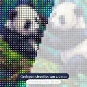 Twee pandawelpjes op een mossige tak – close-up van de steentjes