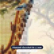 Giraffa e beccabuoi al mattino – primo piano dei diamanti