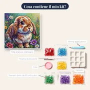 Coniglio Nano dalle Orecchie Cadenti – contenuto del kit