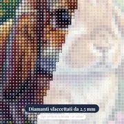 Coniglio Nano dalle Orecchie Cadenti – primo piano dei diamanti