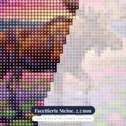 Elch im Seerosenteich bei Dämmerung – Nahaufnahme der Steine
