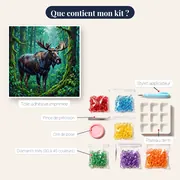Élan sous la pluie en forêt verte – contenu du kit