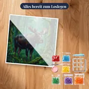 Elch im Regen im grünen Wald – Set bereit zum Loslegen
