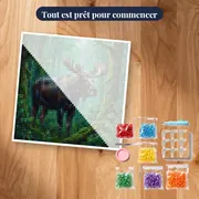 Élan sous la pluie en forêt verte – kit prêt à commencer