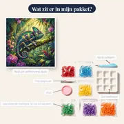 Sluierkameleon in de gouden jungle – inhoud van het pakket