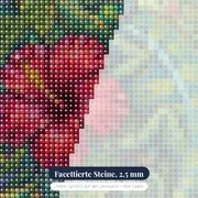 Chamäleon auf rotem Hibiskus im Tropengarten – Nahaufnahme der Steine