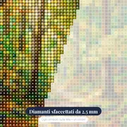 Sentiero di faggi in luce dorata – primo piano dei diamanti