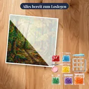 Buchenwaldweg im goldenen Sonnenlicht – Set bereit zum Loslegen