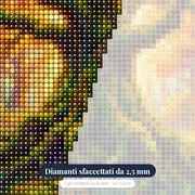 Quercia secolare con radici muschiose – primo piano dei diamanti