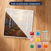 Allée de bouleaux dorés en automne – kit prêt à commencer