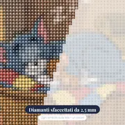 Tom e Jerry addormentati nel cesto – primo piano dei diamanti