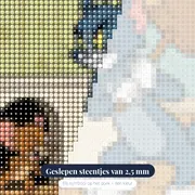Tom met houten hamer en brutale Jerry – close-up van de steentjes