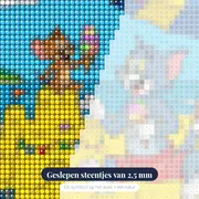 Tom en Jerry: zandkasteel en ijsjes – close-up van de steentjes