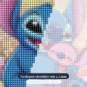 Stitch knuffelt zijn poppetje tussen bloemen – close-up van de steentjes