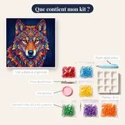 Loup Mandala aux Couleurs Éclatantes – contenu du kit