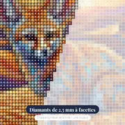 Fennec aux oreilles immenses dans le désert – gros plan des diamants