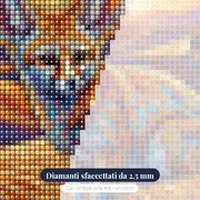 Volpe Fennec nel Deserto Dorato – primo piano dei diamanti