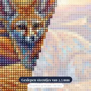 Fennek met grote oren in woestijn – close-up van de steentjes