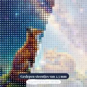 Twee vossen onder sterrenhemel – close-up van de steentjes