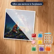 Twee vossen onder sterrenhemel – pakket klaar om te beginnen