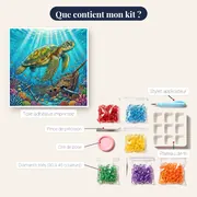 Tortue près d'une épave turquoise – contenu du kit