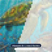 Tortue près d'une épave turquoise – gros plan des diamants