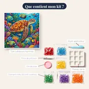 Tortue imbriquée sur récif corallien – contenu du kit