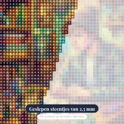 Jongeman met pet en dobbelstenen – close-up van de steentjes