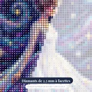 Princesse aux chignons sous les étoiles – gros plan des diamants
