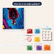 Spider-Man ondersteboven in de regen – inhoud van het pakket