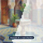 Cour marocaine à la fontaine – gros plan des diamants