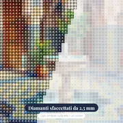 Cortile Marocchino con Fontana – primo piano dei diamanti