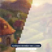 Avondgloren boven het herdersdorp – close-up van de steentjes