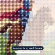 Chevalier bleu à cape rouge – gros plan des diamants