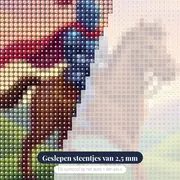 Ridder te paard in blauw harnas – close-up van de steentjes