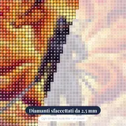 Ninja e Volpe a Nove Code – primo piano dei diamanti